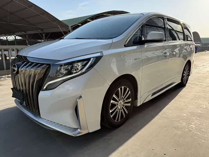 Фото 1 - GAC Trumpchi M8