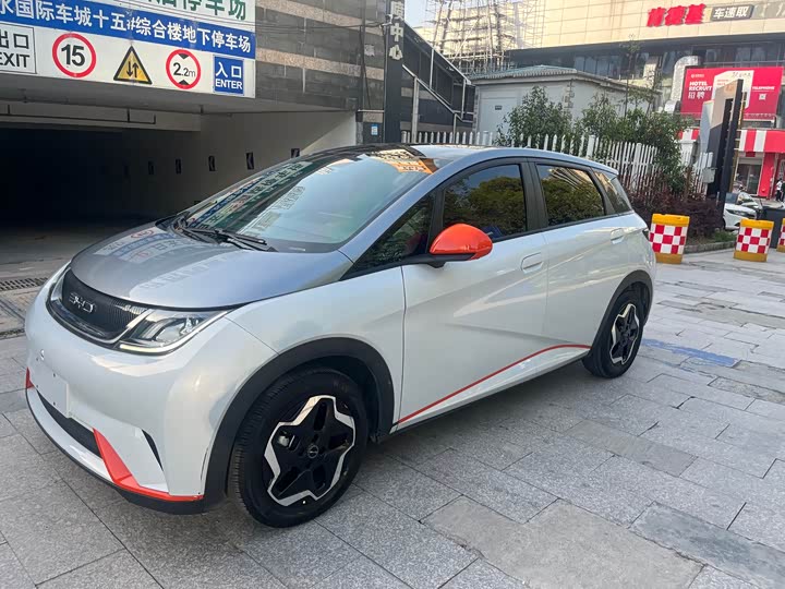 Фото 1 - BYD Dolphin