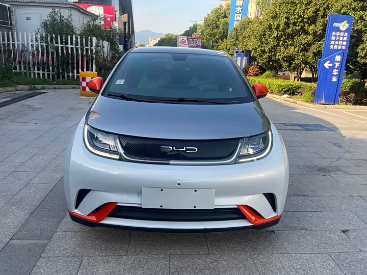 Фото 2 - BYD Dolphin