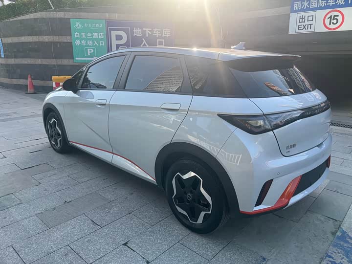 Фото 3 - BYD Dolphin