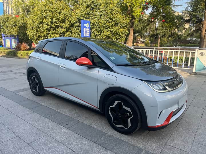 Фото 6 - BYD Dolphin