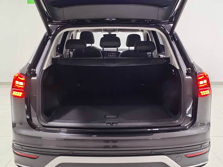 Фото 7 - Volkswagen Tayron