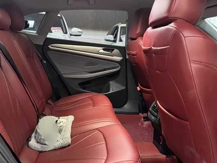 Фото 18 - Volkswagen Lamando L