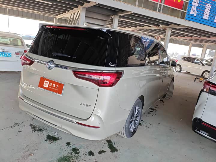 Фото 4 - Buick GL8 ES