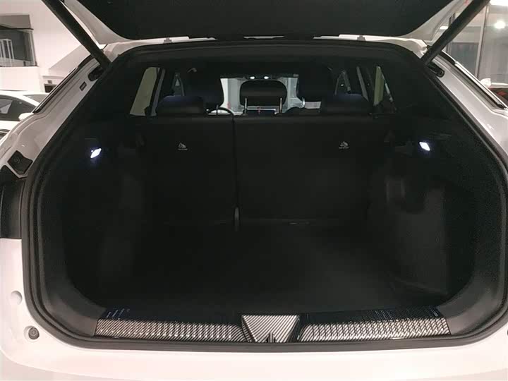 Фото 19 - Volkswagen ID.4 X