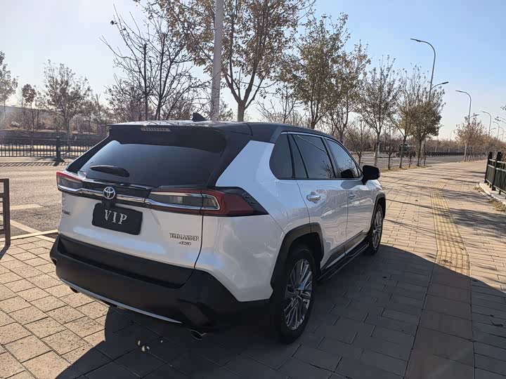 Фото 6 - Toyota Wildlander