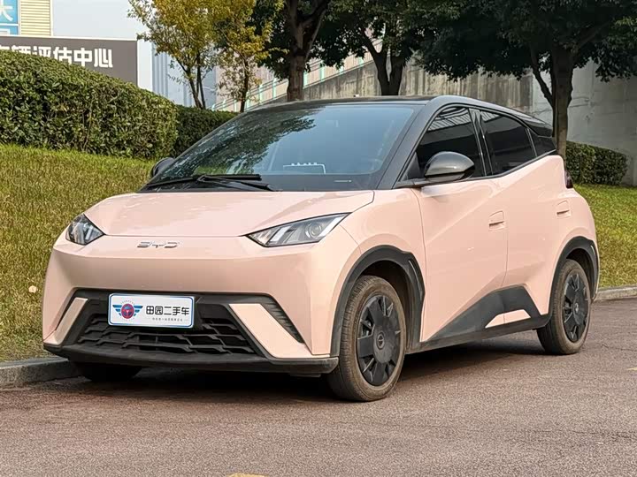 Фото 1 - BYD Seagull