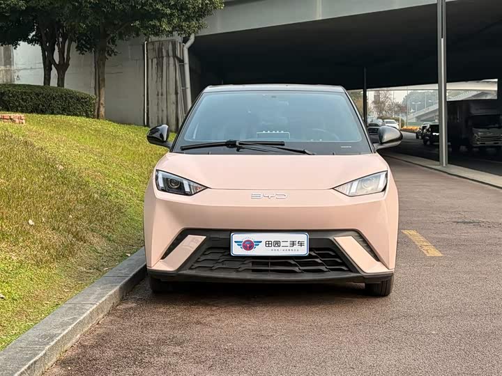 Фото 2 - BYD Seagull