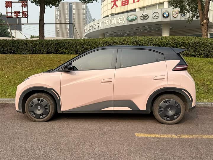 Фото 3 - BYD Seagull