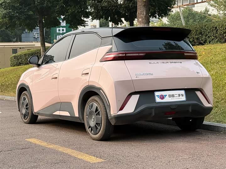 Фото 4 - BYD Seagull