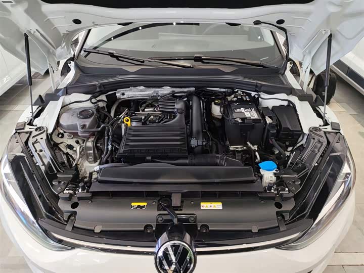 Фото 20 - Volkswagen Lamando L