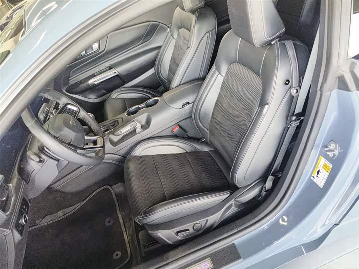 Фото 15 - Ford Mustang