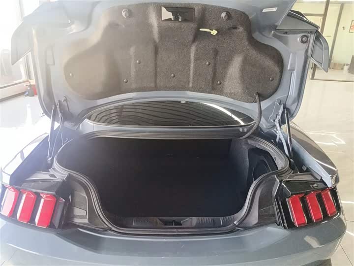 Фото 19 - Ford Mustang