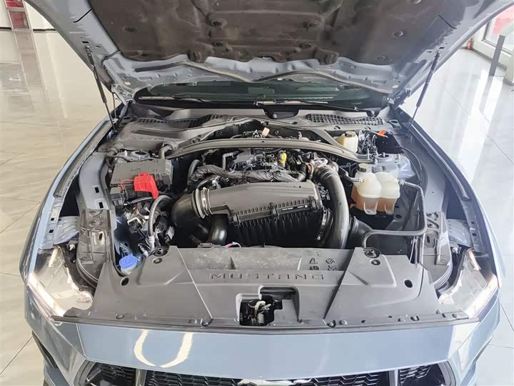 Фото 20 - Ford Mustang