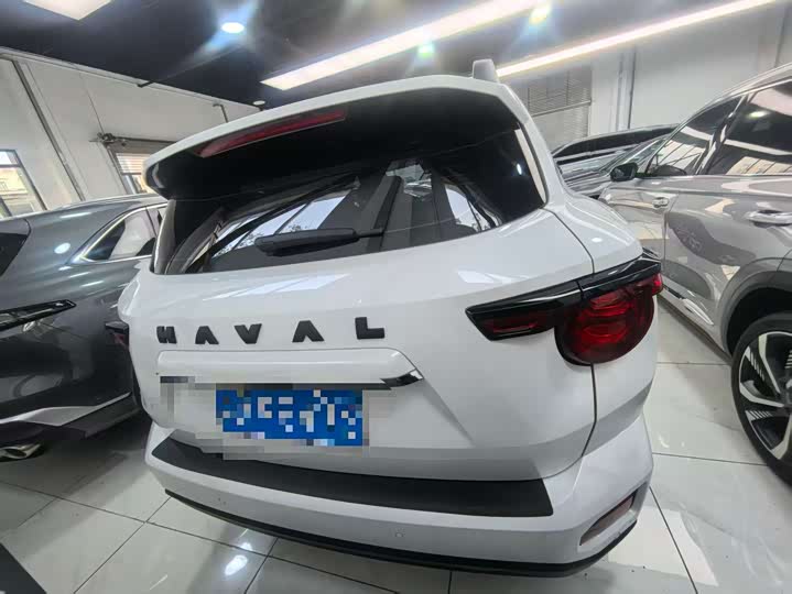 Фото 10 - Haval H-Dog