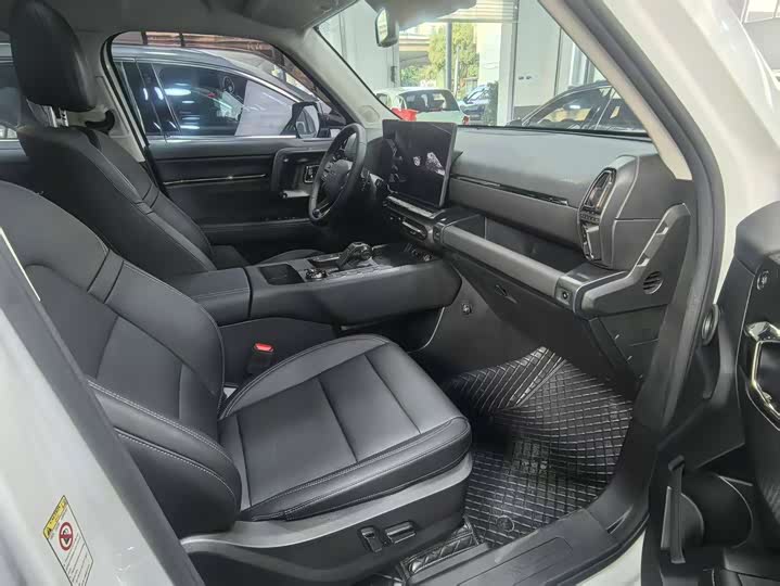 Фото 11 - Haval H-Dog