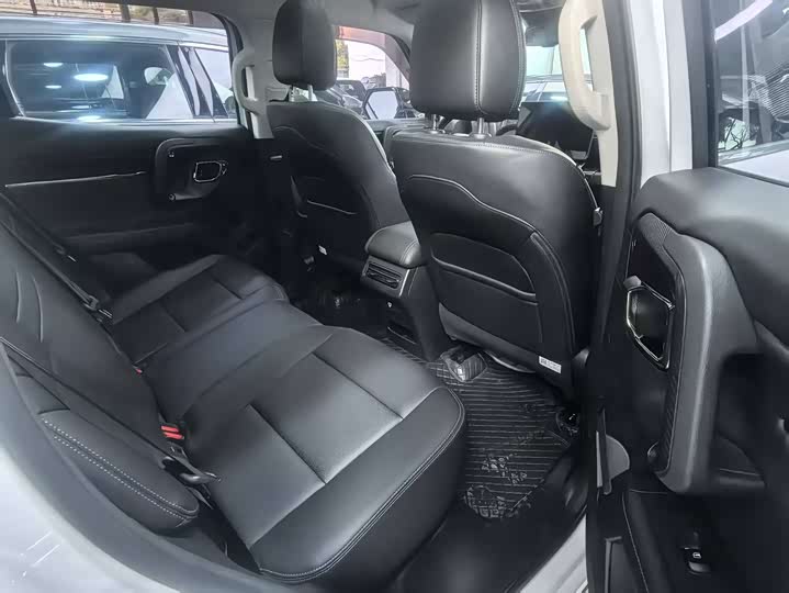 Фото 12 - Haval H-Dog