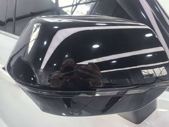 Фото 13 - Haval H-Dog