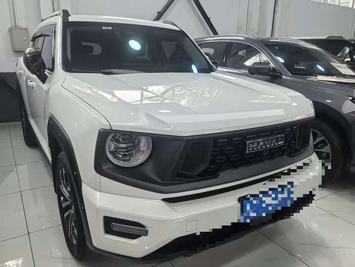 Фото 16 - Haval H-Dog