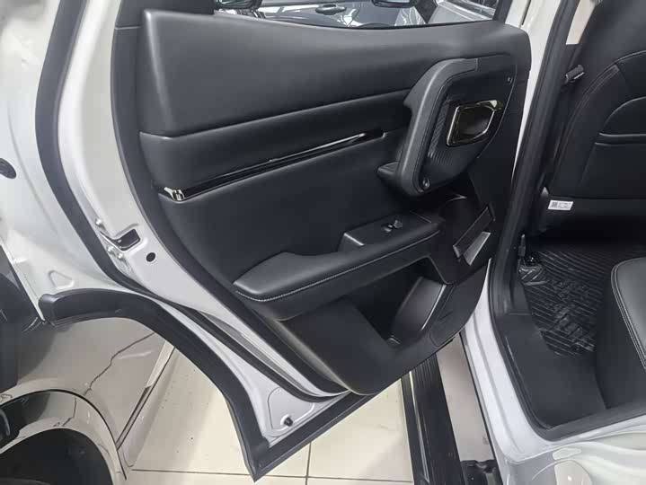 Фото 3 - Haval H-Dog