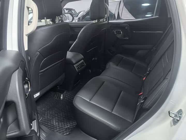 Фото 4 - Haval H-Dog