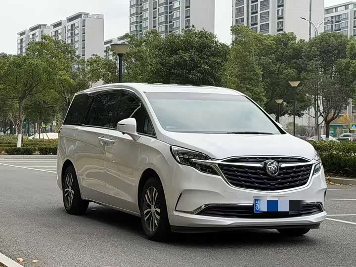 Фото 2 - Buick GL8 ES