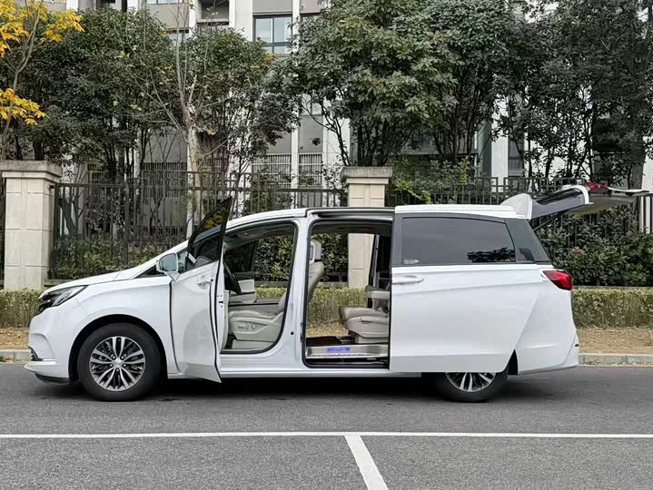 Фото 5 - Buick GL8 ES