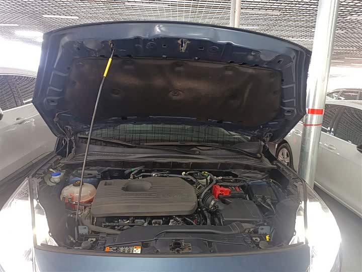 Фото 20 - Ford Escape