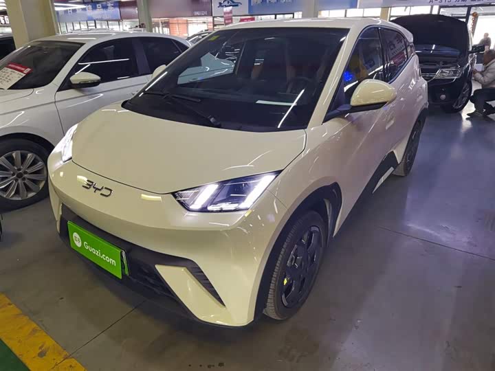 Фото 2 - BYD Seagull