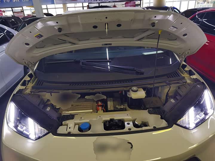 Фото 20 - BYD Seagull