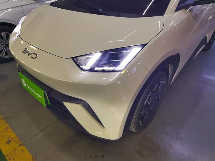 Фото 24 - BYD Seagull