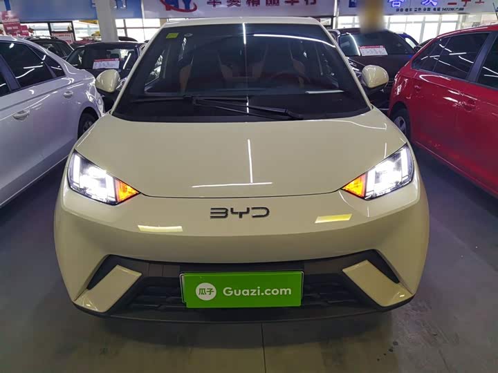 Фото 3 - BYD Seagull