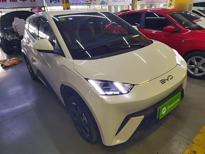 Фото 4 - BYD Seagull