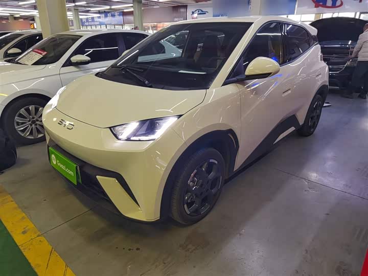 Фото 5 - BYD Seagull