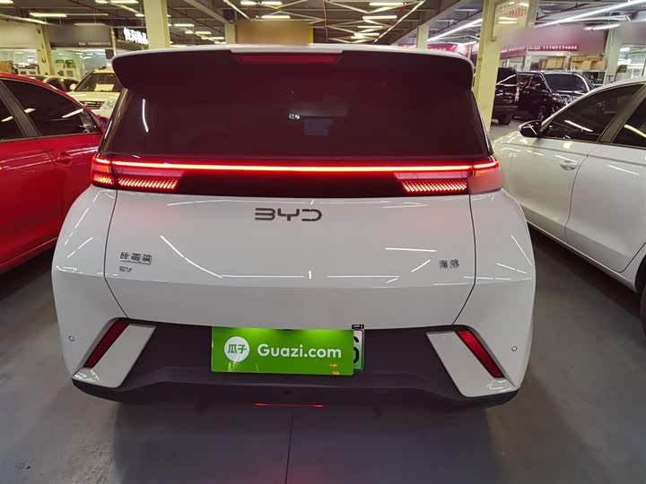 Фото 6 - BYD Seagull