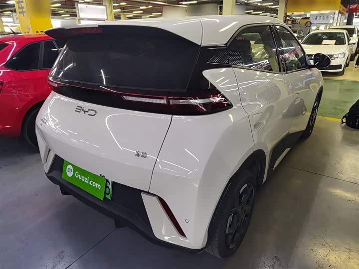 Фото 7 - BYD Seagull