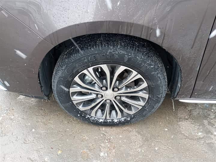 Фото 23 - Buick GL8 ES