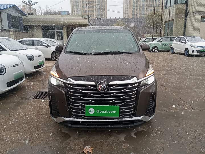 Фото 3 - Buick GL8 ES