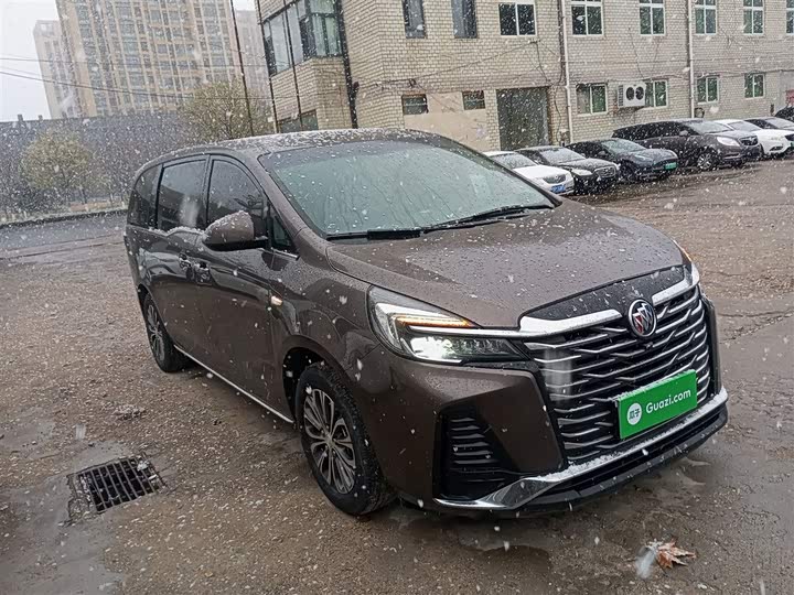 Фото 4 - Buick GL8 ES