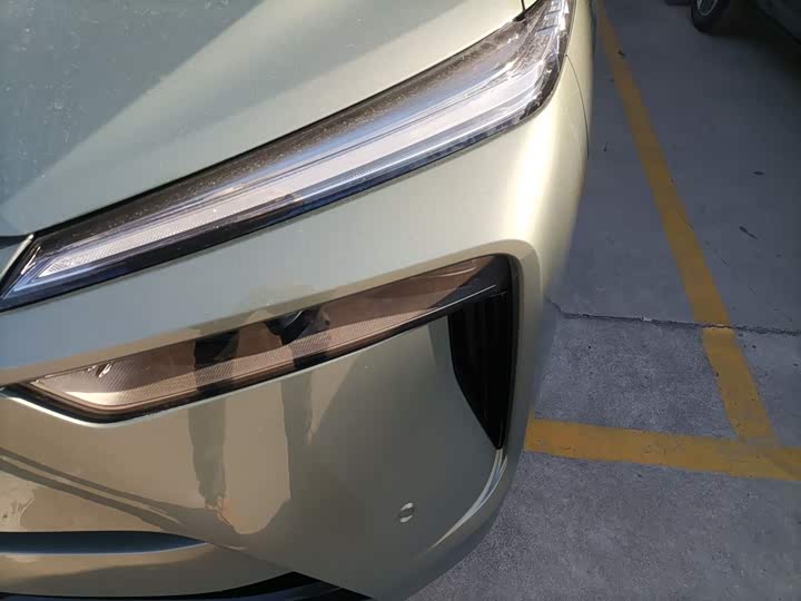 Фото 24 - Wey Lanshan