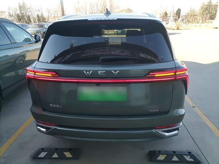 Фото 6 - Wey Lanshan