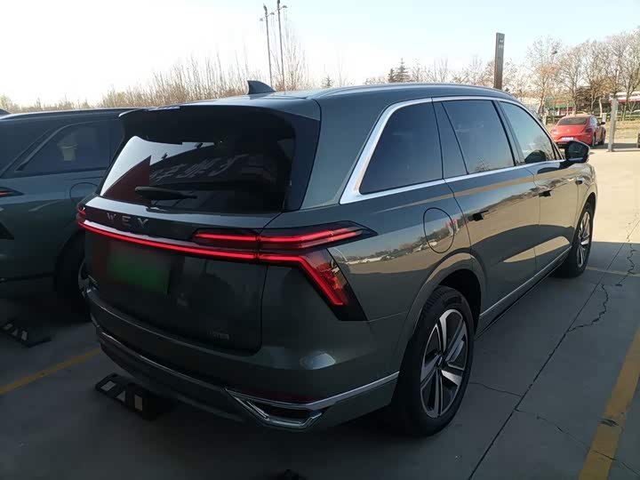 Фото 7 - Wey Lanshan