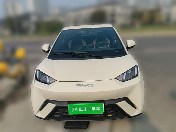 Фото 24 - BYD Seagull