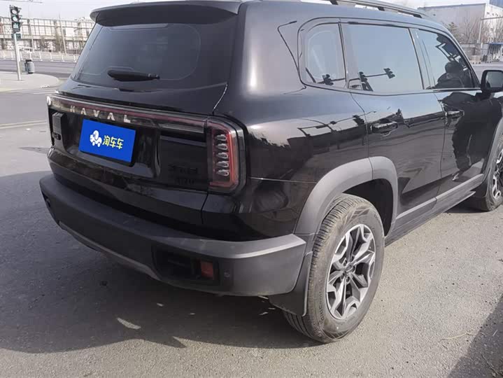 Фото 3 - Haval Dargo