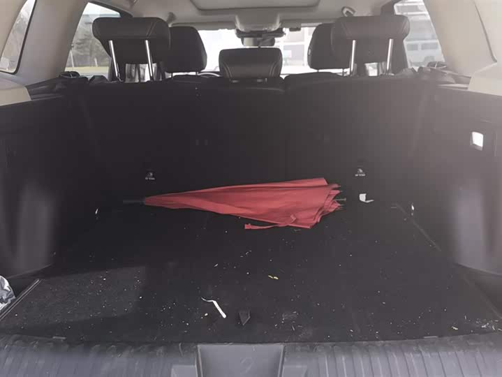 Фото 4 - Haval Dargo