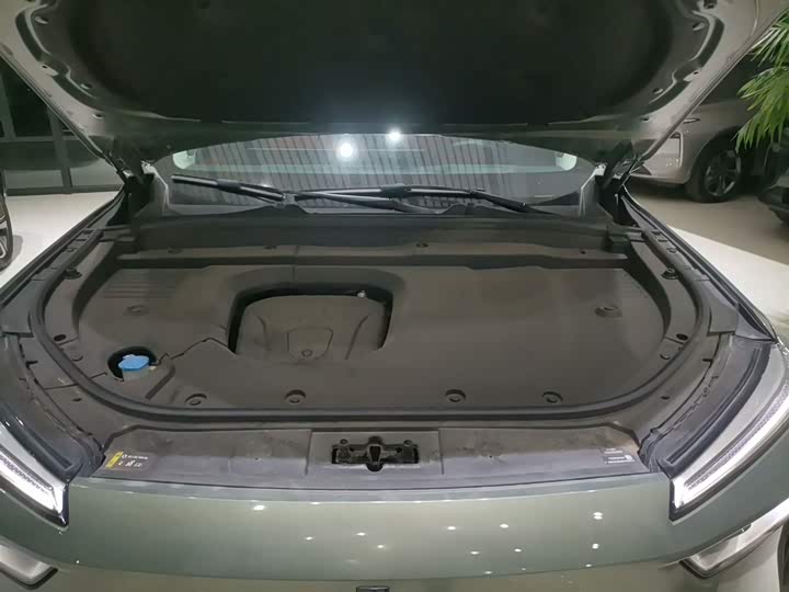 Фото 20 - Wey Lanshan