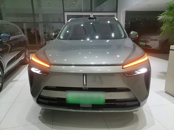 Фото 3 - Wey Lanshan