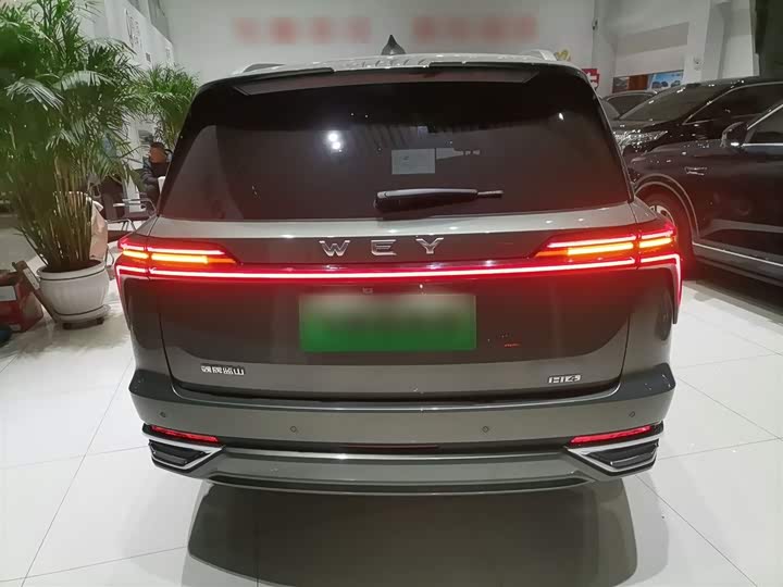 Фото 6 - Wey Lanshan