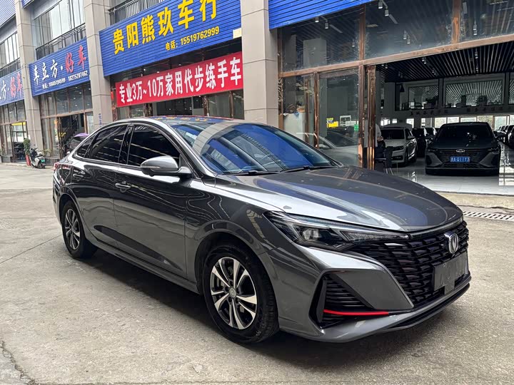 Фото 3 - Changan Eado Plus