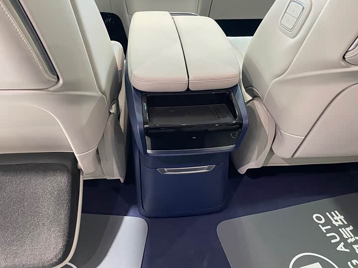 Фото 18 - Buick GL8 Century